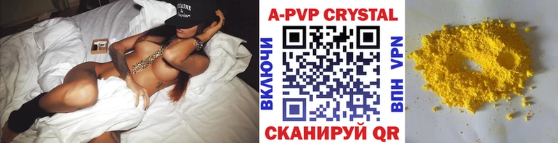 A PVP СК Новая Ладога