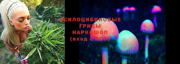 круглые Гусиноозёрск