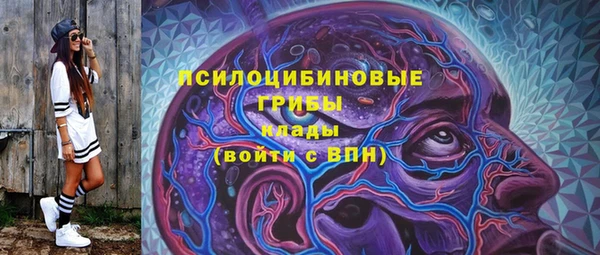 эйфоретик Гусев