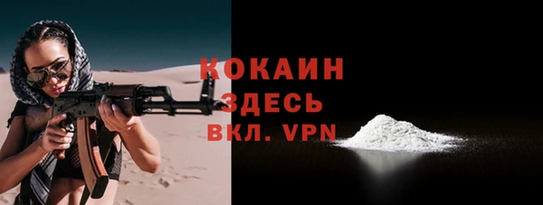 эйфоретик Гусев