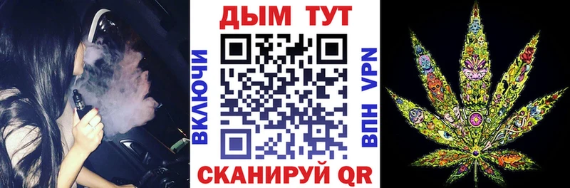 Купить где  Новая Ладога  Шишки марихуана ГИДРОПОН 